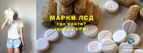 хмурый Белокуриха