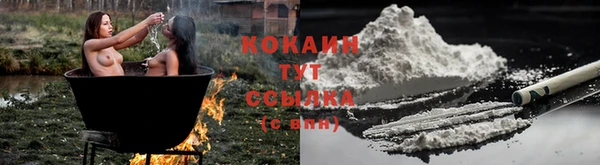 хмурый Белокуриха