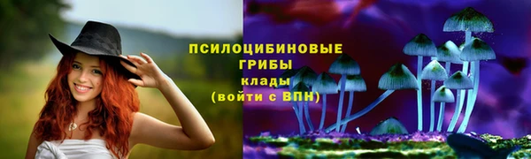 хмурый Белокуриха