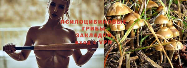 первитин Беломорск