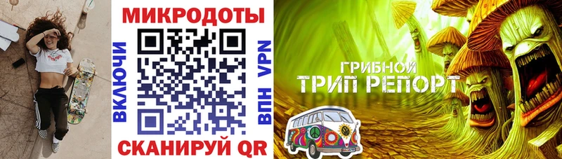 Купить где  Боготол  Псилоцибиновые грибы Cubensis 